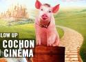 Le Cochon au cinéma - Blow Up - ARTE - YouTube