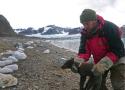 Cette renarde arctique a parcouru 3500 km depuis la Norvège jusqu'au Canada en 76 jours - GuruMeditation